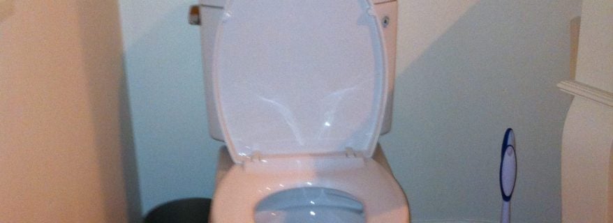 toilet clog