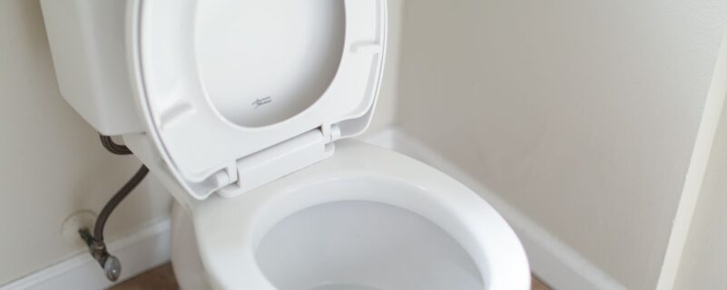Cleaning a toilet - Unclog It Vancouver plumbers