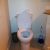 toilet clog