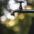 Photo Credit: Luis Tosta - Unclog.It - Vancouver Plumbers